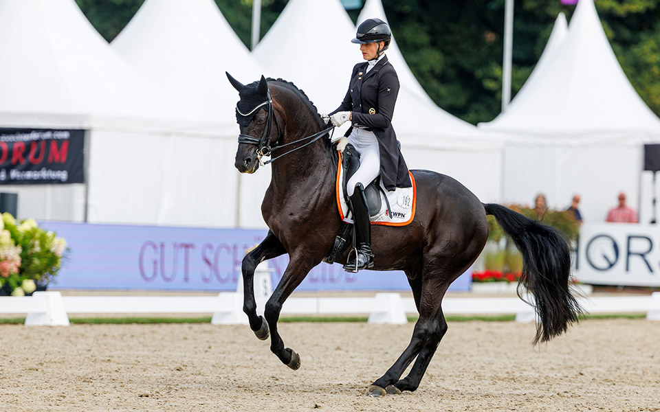 Read more about the article Sieger-Küsschen für Most wanted Nero